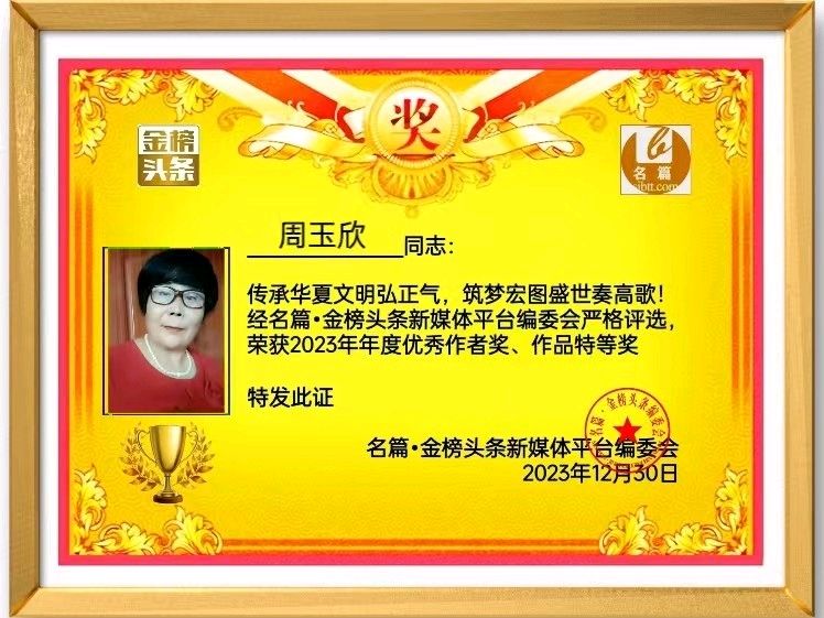 （山东诸城）周玉欣部分奖品（图13）