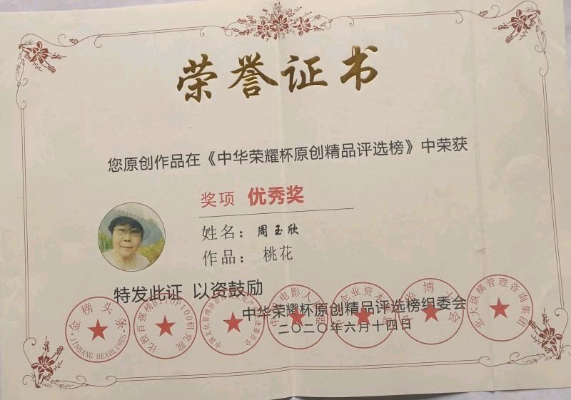 （山东诸城）周玉欣部分奖品（图52）