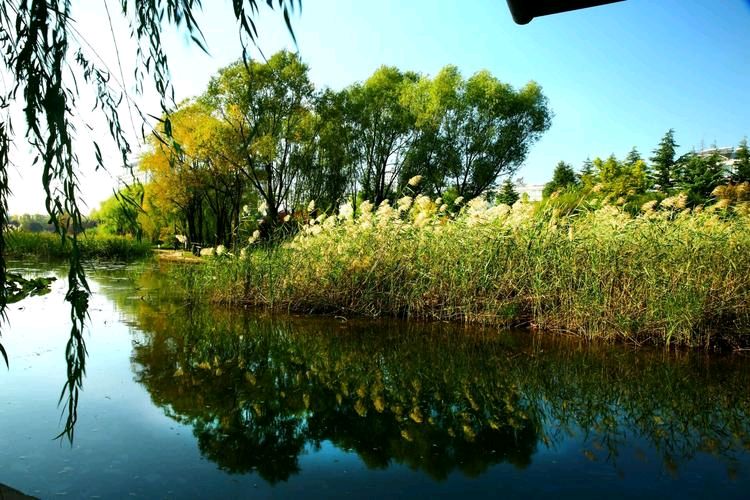 李忠共诗篇白露处暑七夕县老干社书画展梁婵会長芳辰立秋乡村景色(图18)