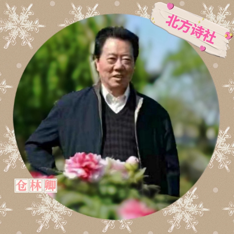 【东林北方诗社】隆重推介仓林卿《夕阳赞歌》编辑君君‖主播大雁‖音审美琪‖刊头淘淘‖总6278期(图5)