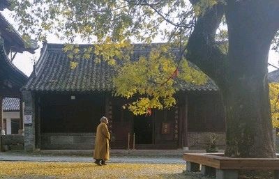 《秋天的诗韵》联机全球发布荆山童作品欣赏(图15)