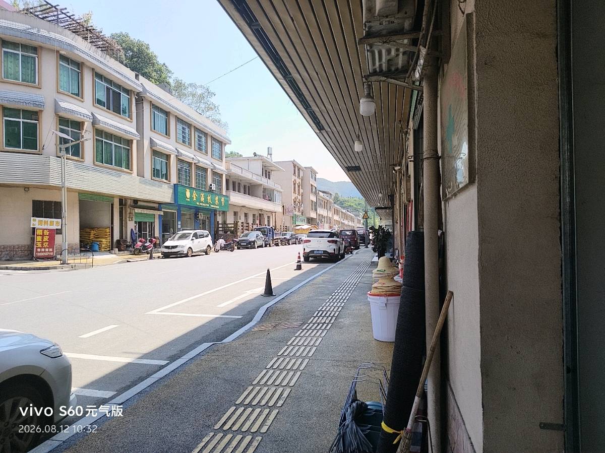 大余县吉村镇民康药店:药香里散发出健康吉祥的芬芳气息（图34）