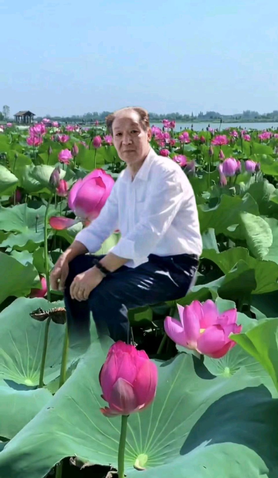 『婉君诗赞•百度赏析』——十三大官网名人百科玄光真人诗词传承家《禅荷》名家精品六首鉴赏(图5)