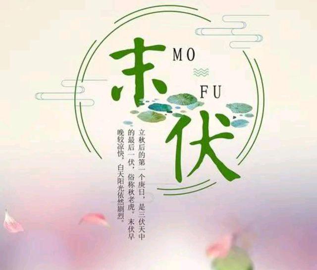 【荣耀中国】文学社*散文:《末伏》唐增虎(山东)(图3)