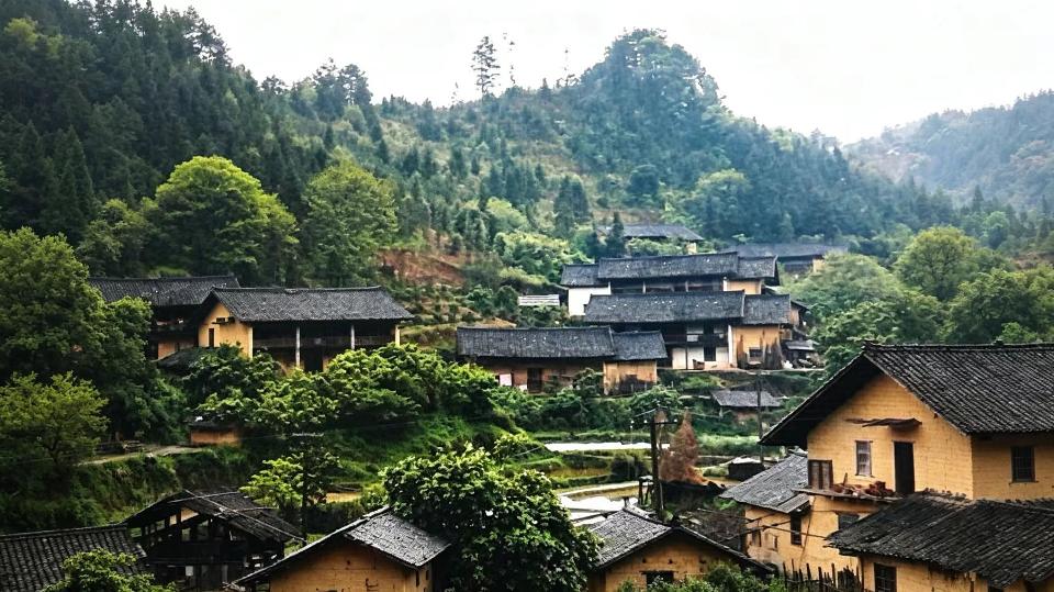 鸭妹的命运1 鸭妹的命运1