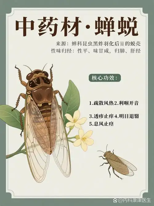 280期四季联盟诗社《蝉蜕》华夏荟萃