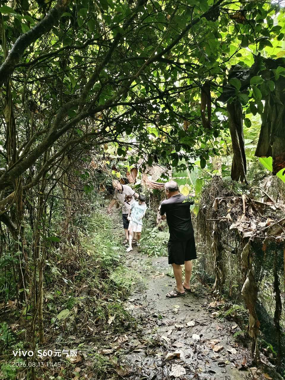 赣州大余民间中医药传承协会副会长张优平赴赣南桃花岛考察（图16）
