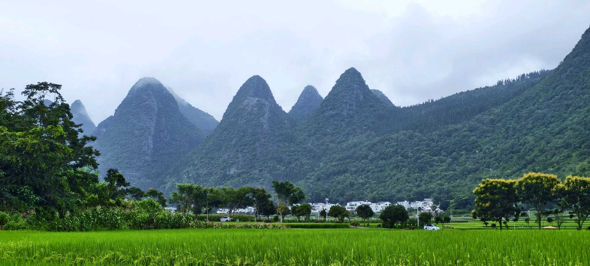 八月华章(图16)