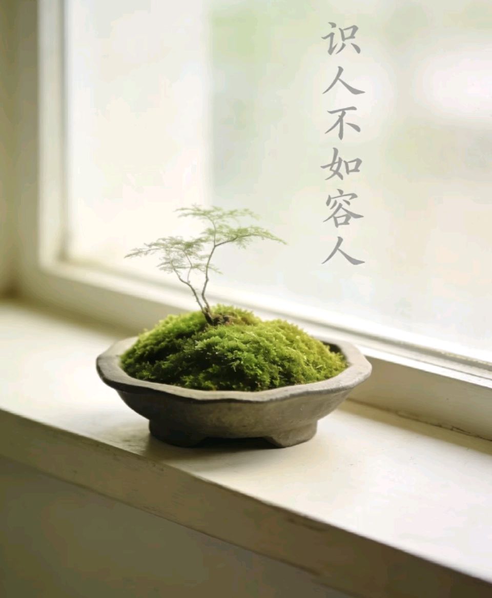 自由体《借风而行》(外一首) 作者/郑金波（图5）