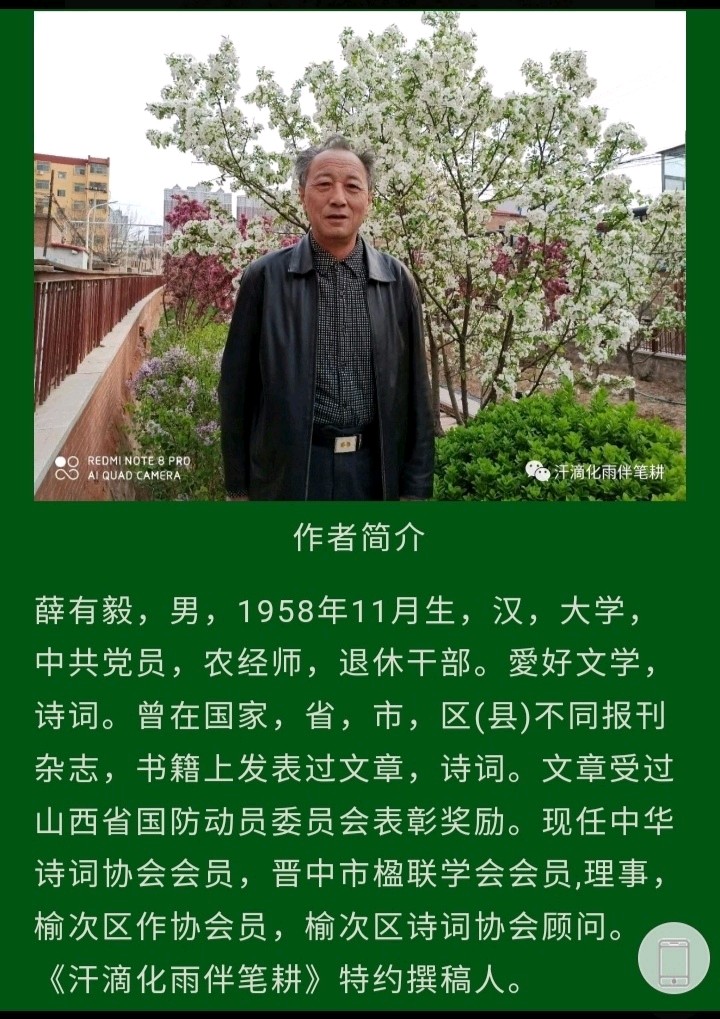 《凤鸣园》第227期孙嘉琦王建华薛有毅杜金林侯才金姜文鹏陆明李庆祥张秋剑(图8)