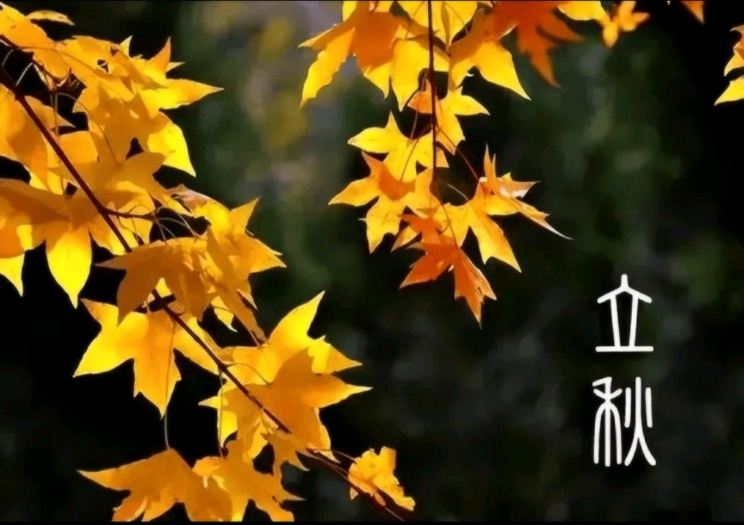 【东林北方诗社】隆重推介丁德民《七绝四首》主播知足常乐//编辑于凤霞//音审美琪//图片淘淘//总第6289期(图3)