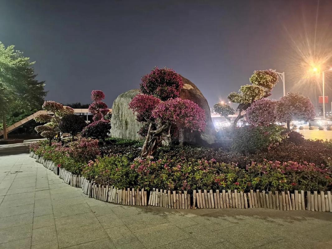 【原创】三木秉风散文诗选1405《旧地相寻一梦空,经秋数度苑前同》(图2)