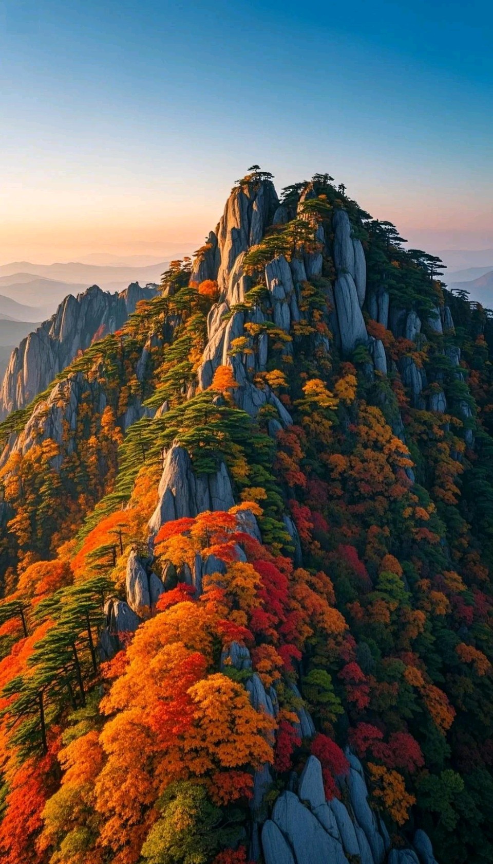 美文 | 放眼南京的山峦，树叶渐渐改换容颜，风过处，落叶翩跹，这不是凋零的悲凉，而是归于大地的从容