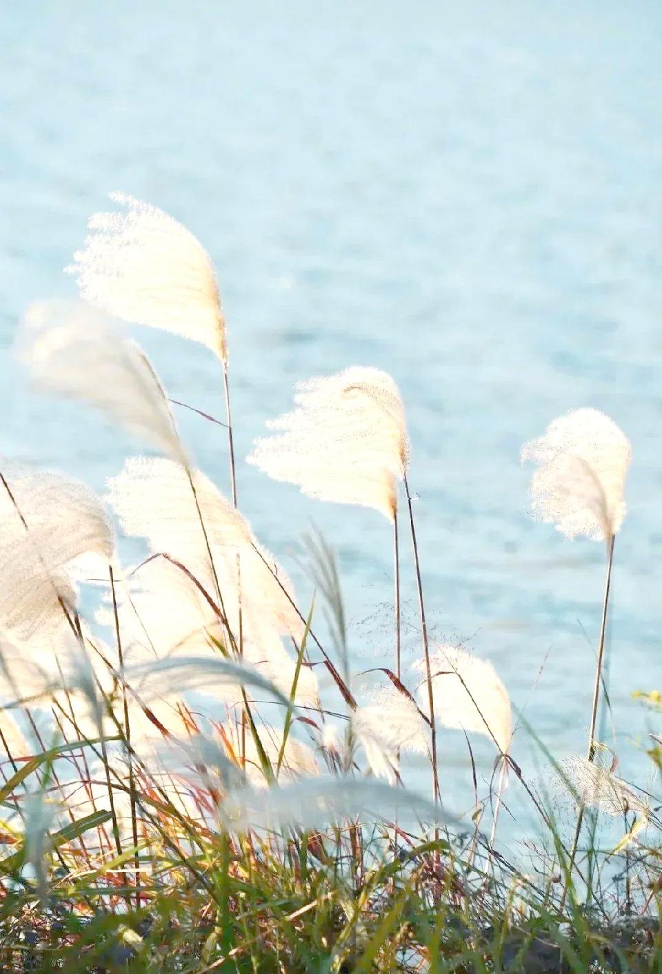 fc65cb9004f21be985c99a278ee4616e fc65cb9004f21be985c99a278ee4616e