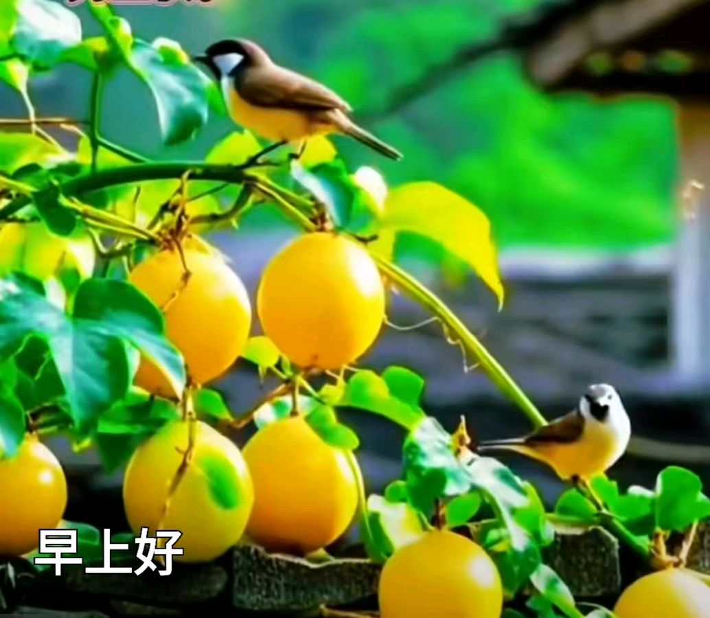 【都市头条成都文苑编辑部】主编周原翁;诗文作者秦牛.刘忠良.何俊锋.楊烈焰.肖乃生.翟功印.(图33)