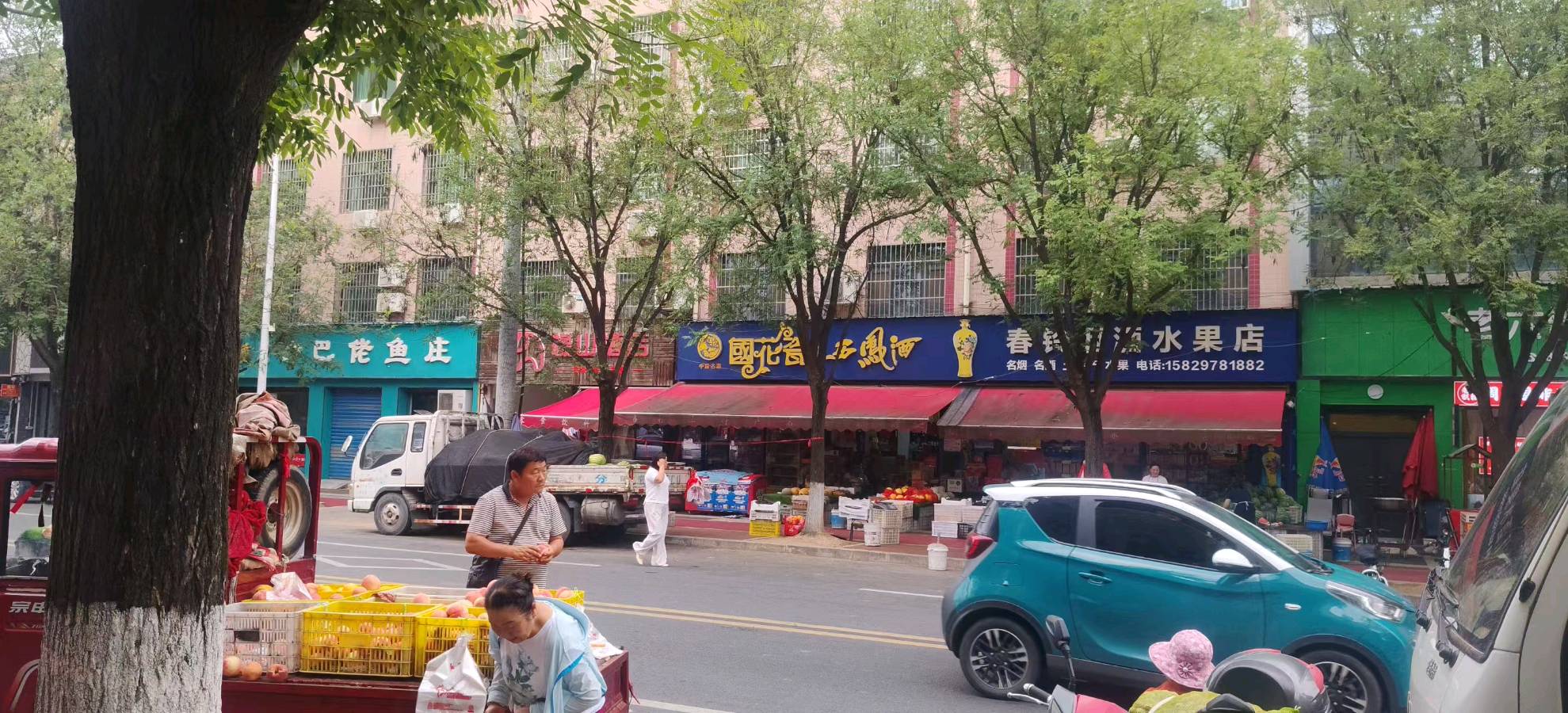唐永辉‖家门口的水果市场(图3)