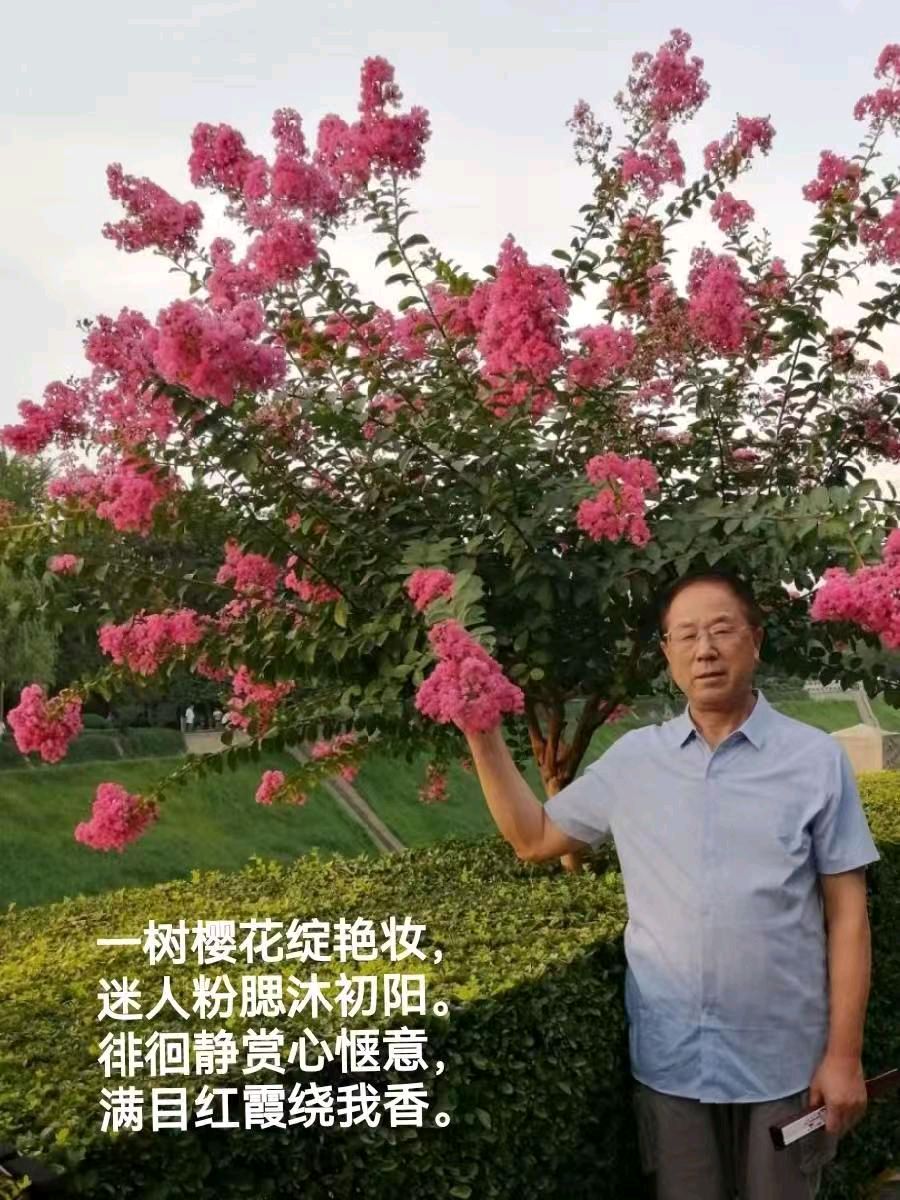 题图诗(10首) 作者:王哲甫(陕西) 都市头条——西安头条(图12)