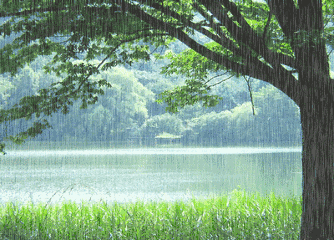 《雨还在下》作者/王庆福 主播/红杉树 主编/胡琴（图3）