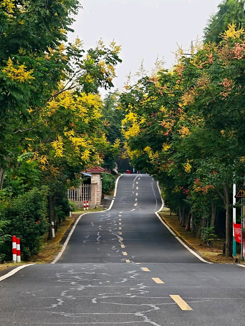 七绝：暮游/马尚元(甘肃)（图2）
