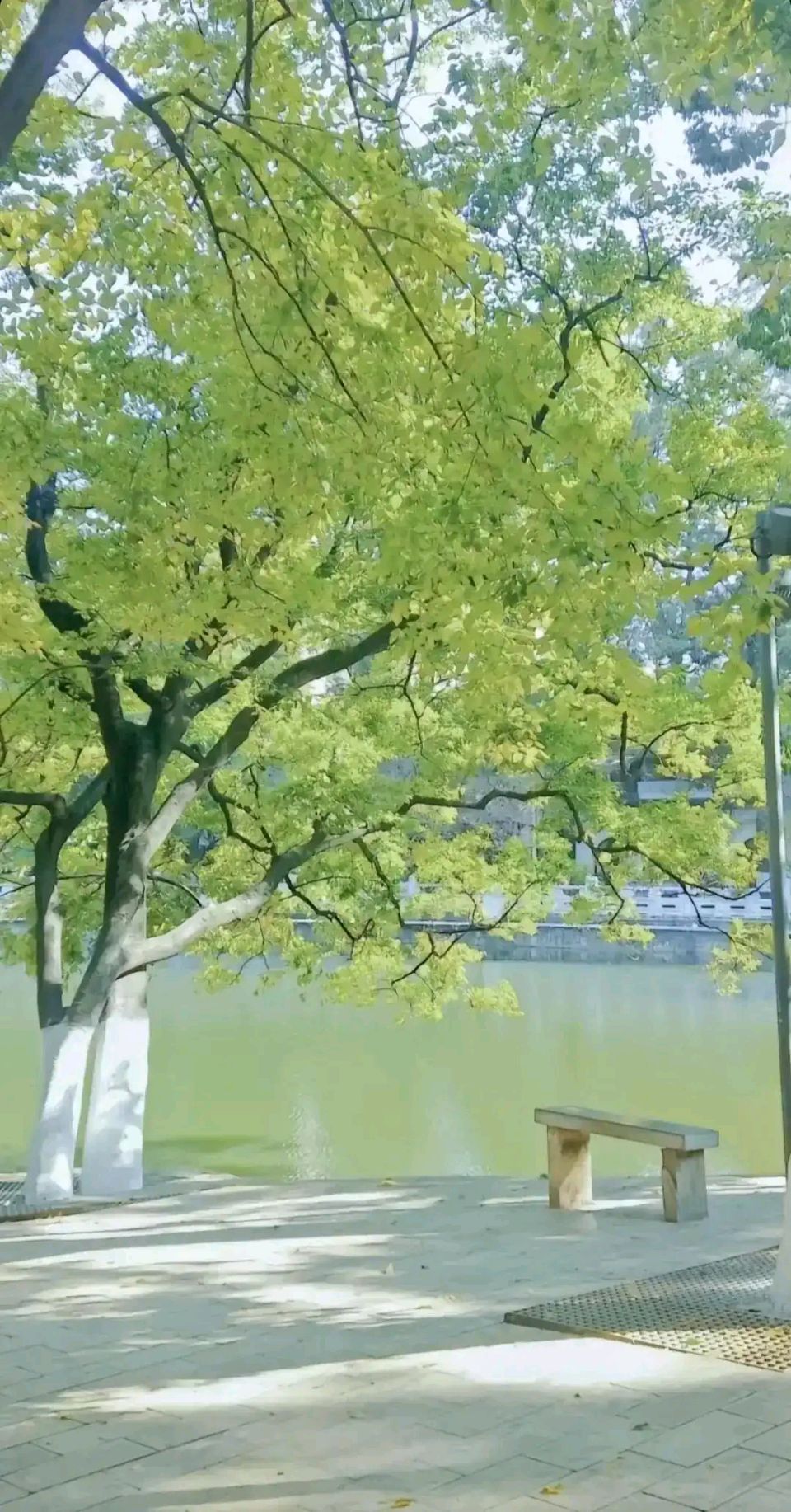 区易《七律·抒怀》诵/丽人
