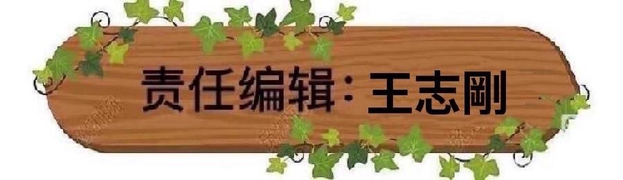 东渡诗社:八月刊(总期第七十五期)2026年|海外头条(图21)