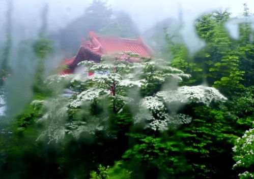《夏雨》作者：杨爱华 主播：孙岩峰/孙怡 主编/胡琴（图5）
