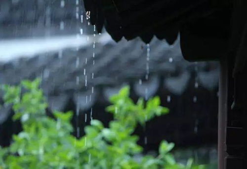 《夏雨》作者：杨爱华 主播：孙岩峰/孙怡 主编/胡琴（图19）