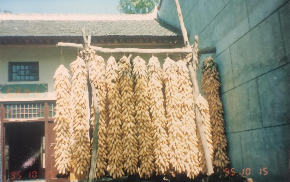 微信图片_20260816170700 微信图片_20260816170700