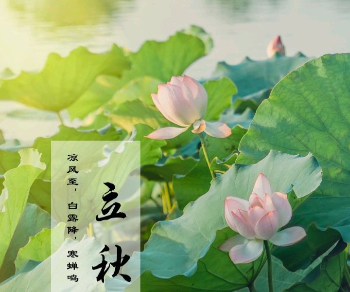 滹沱诗社同题诗《秋意渐浓》收稿:徐雅荣~制作:袁艳欣（图2）