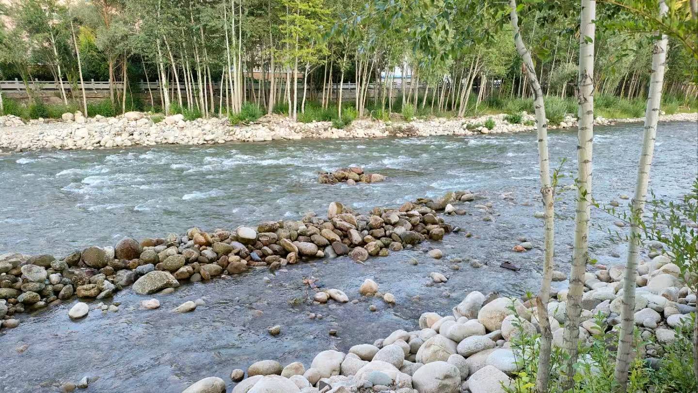 《我把阿勒泰读给你听》作者：天河 主播：白建昌/朱风玲 主编：胡琴（图2）