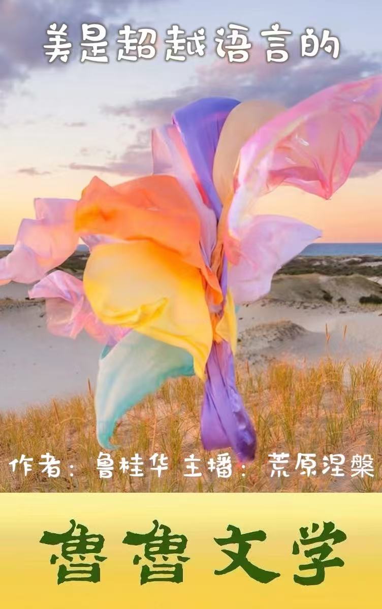 封面 封面