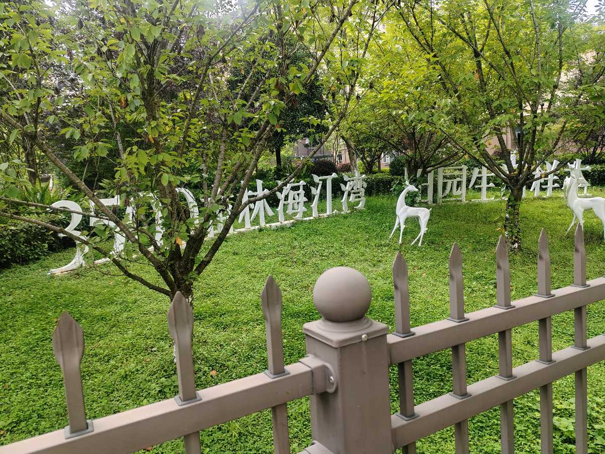 诵云中鹤/文金色中国《幼童眼中的“太阳”》（图2）