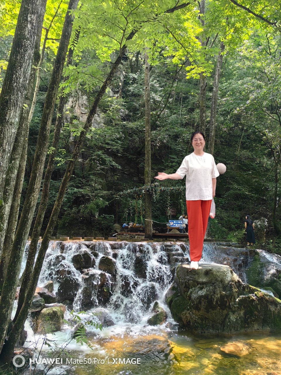 【诗词中国】精品佳作《畅游牛背梁，醉美秦岭秘境》作者：月亮（王海燕）（图6）