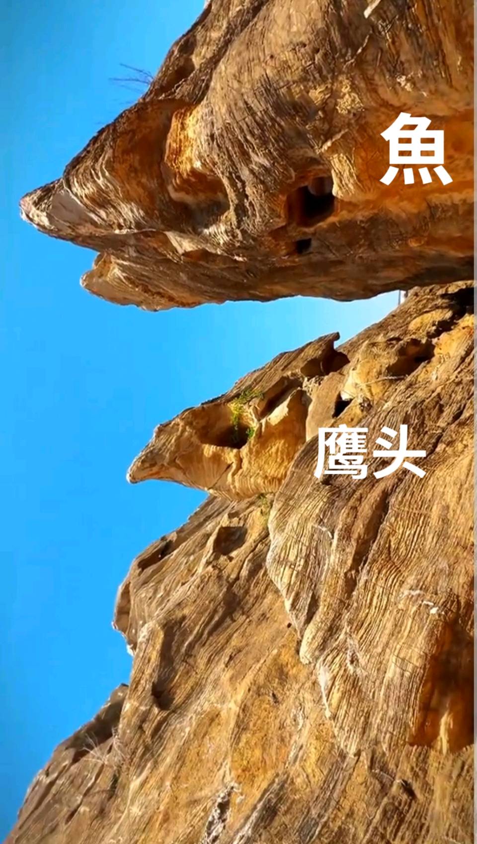 游大连金石园～李耀文（辽宁）（图48）