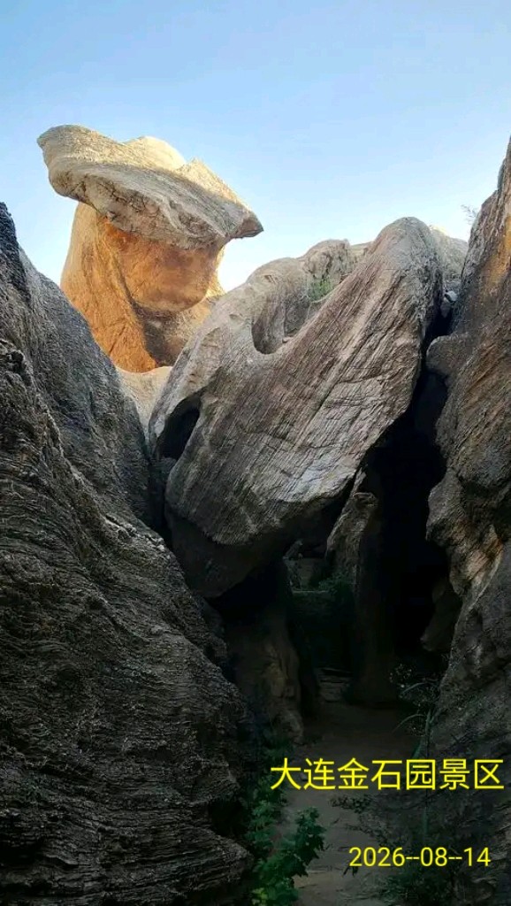 游大连金石园～李耀文（辽宁）（图47）