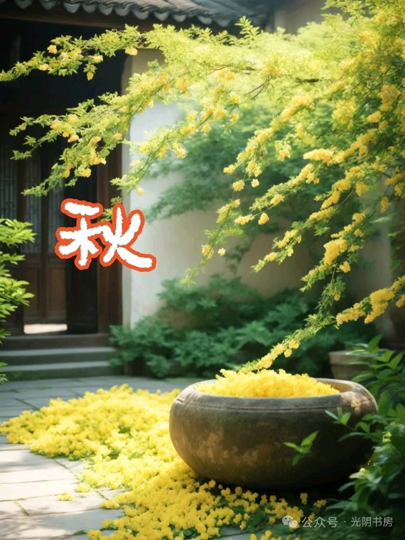 聆听 ‖ 刘欣朗诵《倚在初秋的怀抱中》作者/石志华（图7）