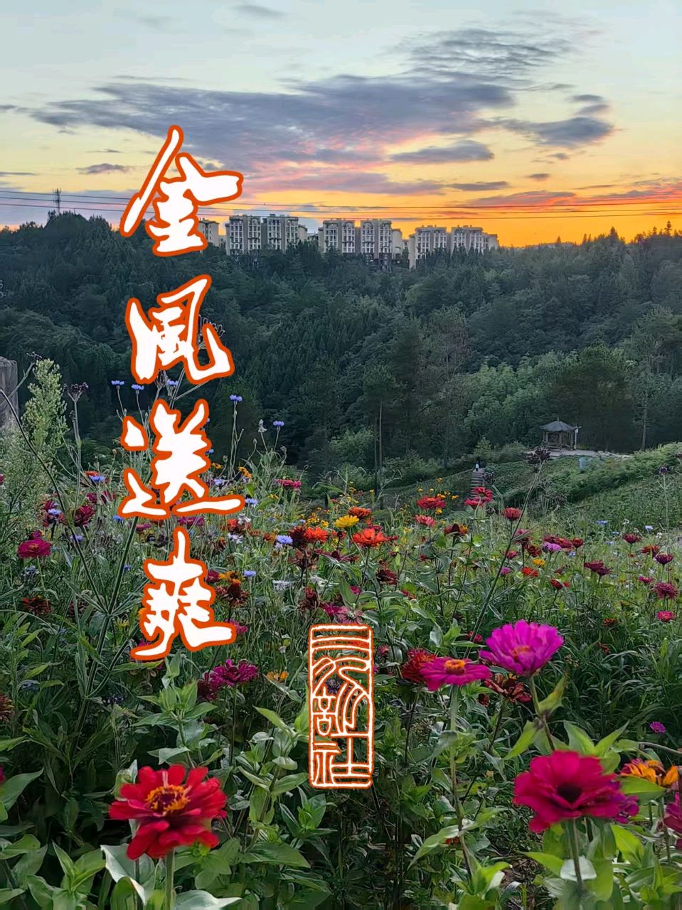 金风送爽 / 二九诗社