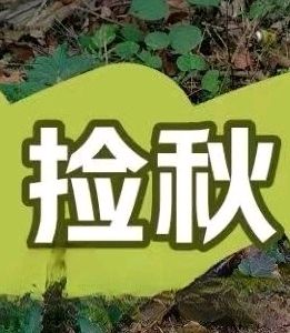【诗情画意】《捡秋》作者/冯贵章(内附诗评)(图2)