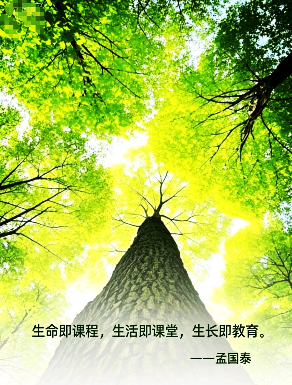 “生命即课程 生活即课堂 生长即教育”的人类学价值
