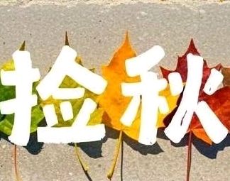 【诗情画意】《捡秋》作者/冯贵章(内附诗评)(图5)