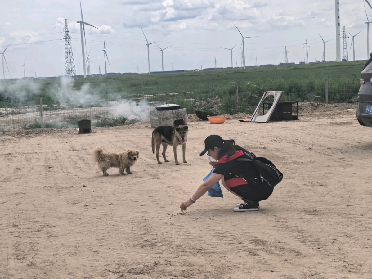 千里奔赴，为爱绽放——公益情景剧《草原铿锵玫瑰》圆满完成拍摄 作者 海水清清 诵读 曲慧（图9）