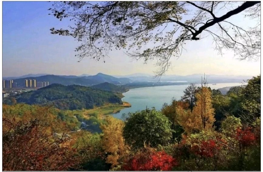 赵志超丨万里苍茫一望秋——湘潭清秋赋(图3)
