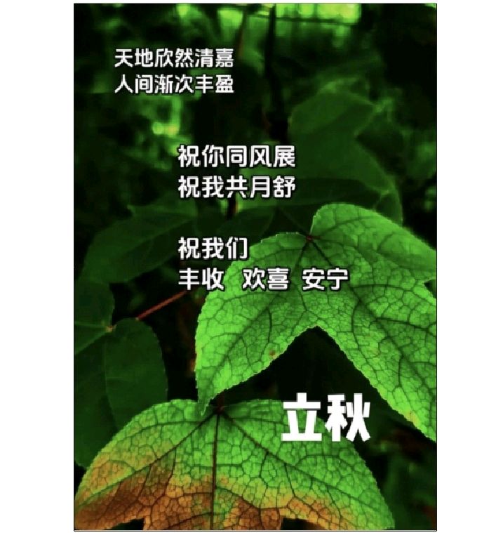 赵志超丨万里苍茫一望秋——湘潭清秋赋(图4)