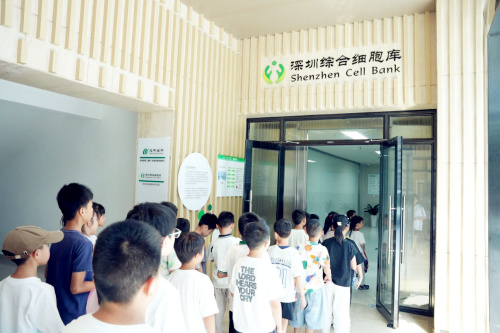 图片12 图片12