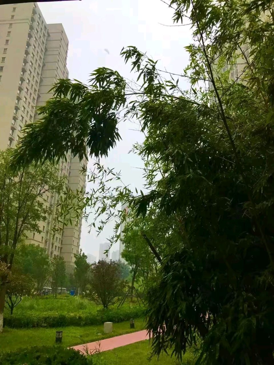 竹怜初秋雨🌧（图7）