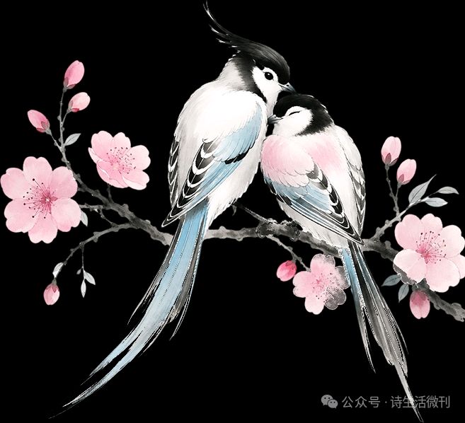【七夕专刊】山东聊城慎独‖鹊桥仙•七夕雨