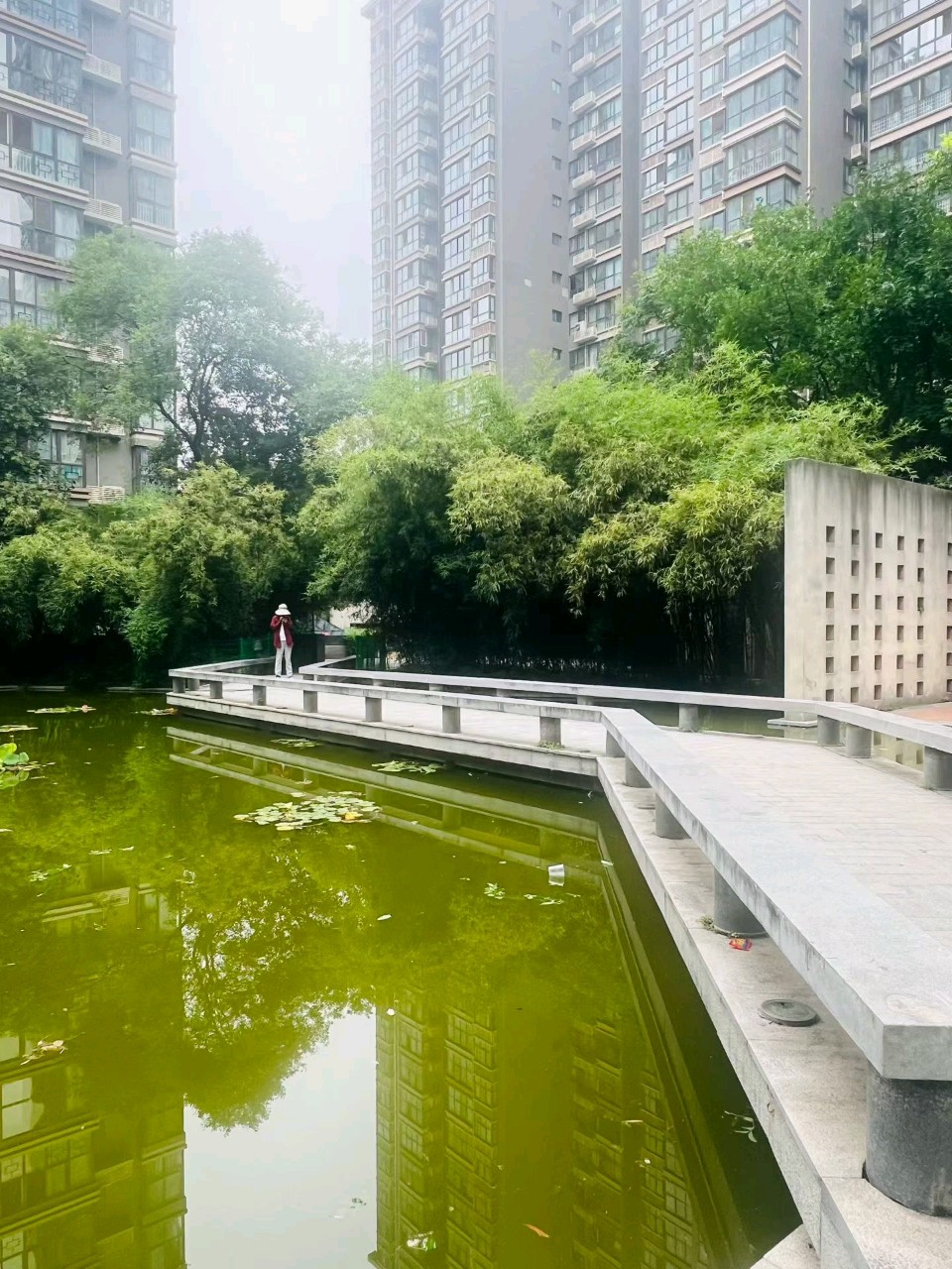 【都市头条成都文苑编辑部】主编周原翁;诗文作者楊达.屈军强.翟功印.肖乃生.王兵.康登科.秦牛.冯期武.何俊锋.边丽萍.楊云冰.强玉昌.肖乃生.楊烈焰.张培兰.(图83)
