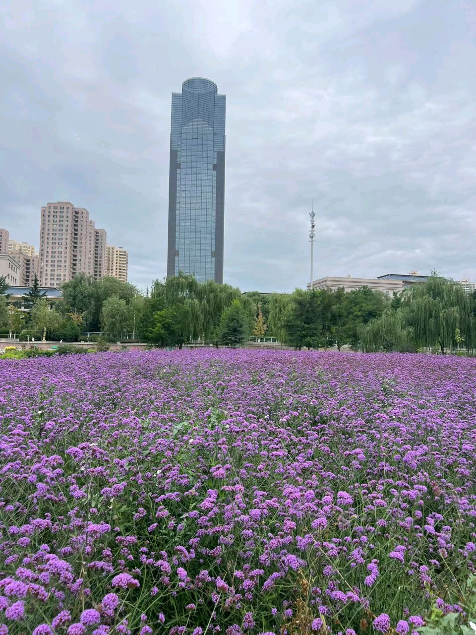 【都市头条成都文苑编辑部】主编周原翁;诗文作者楊达.屈军强.翟功印.肖乃生.王兵.康登科.秦牛.冯期武.何俊锋.边丽萍.楊云冰.强玉昌.肖乃生.楊烈焰.张培兰.(图85)