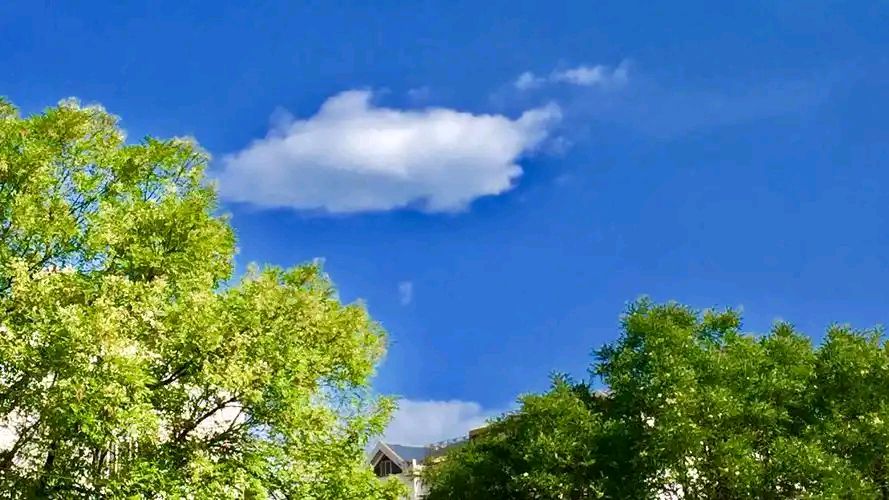 处暑试笔（外二首） 作者:金夜（兰州）（图2）