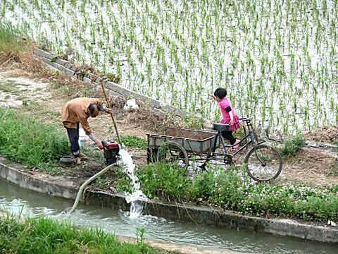岁月里无尽的争与随 红榜作家 李春分(图5)